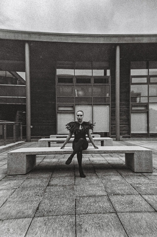 The Black Swan, frame 4