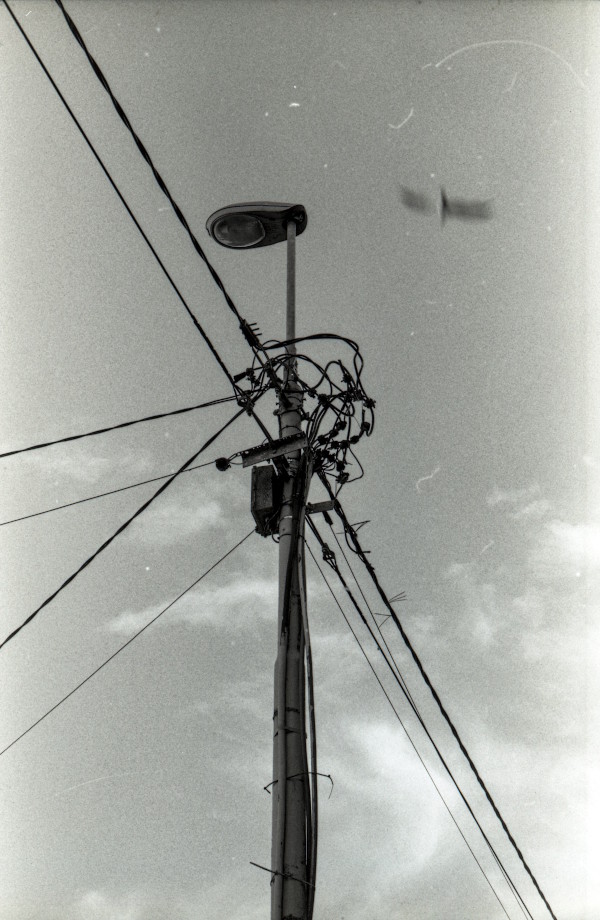 Monumental, frame 2