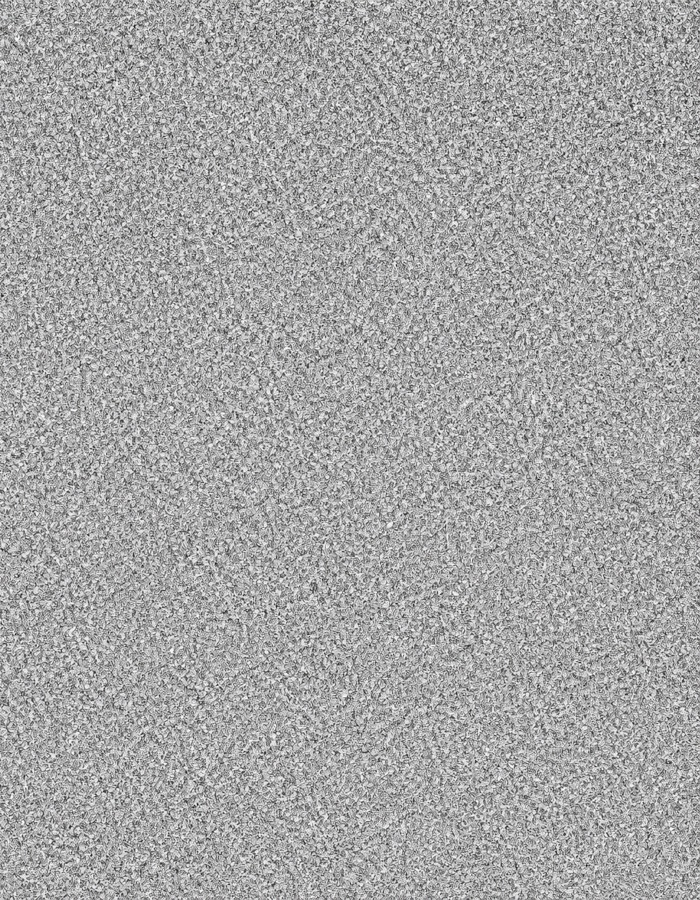 The White Noise